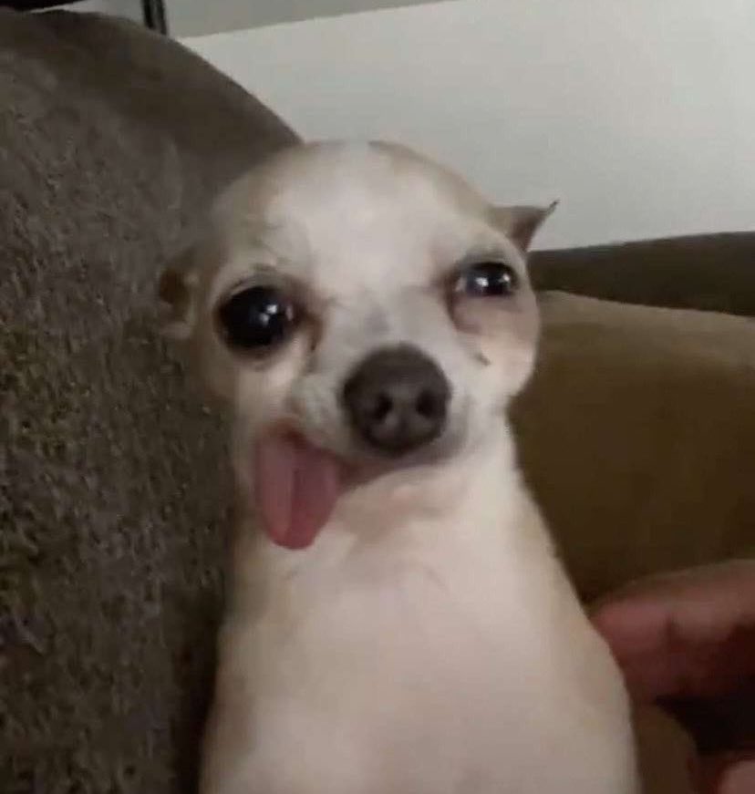 La pérdida dental por sarro no es graciosa