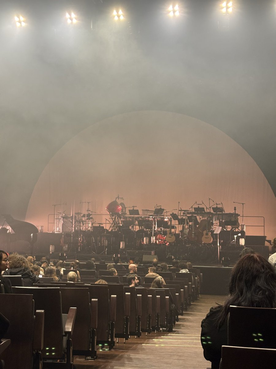 Simon - StiM tweet media