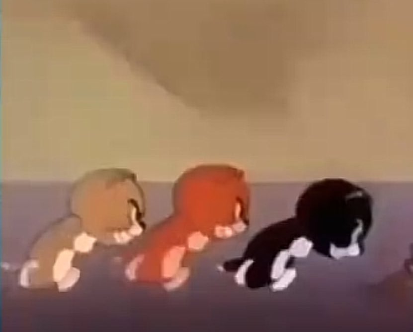 ‏ فالكون (@ifalcon10) on Twitter photo 