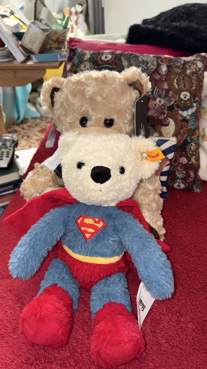 Frogletiscool's tweet image. I am back !!! Beh sorry not all my friends are coming up xx
@stuffierescue @FredTedOlga @mpambrun  @nolongernakie @PaulAtk52540619 @gaels_home