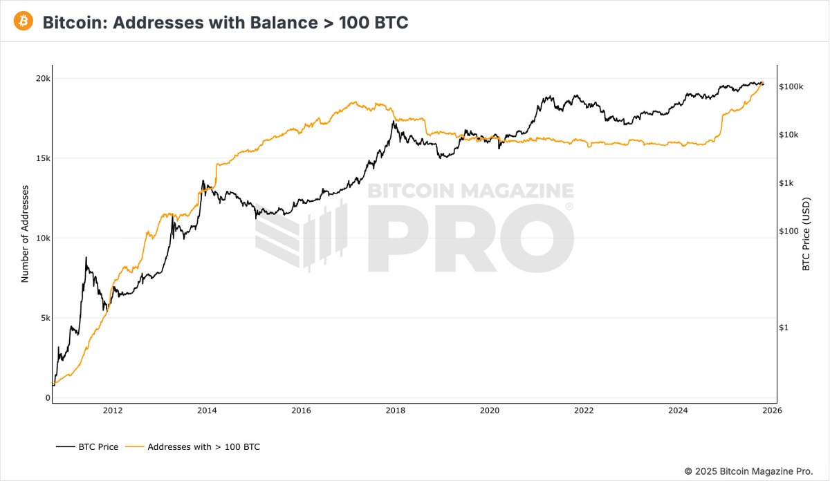 BitcoinMagazine's tweet image. JUST IN: The number of addresses holding more than 100 #Bitcoin hit a NEW ALL TIME HIGH 🚀 

Whales are accumulating 🐂