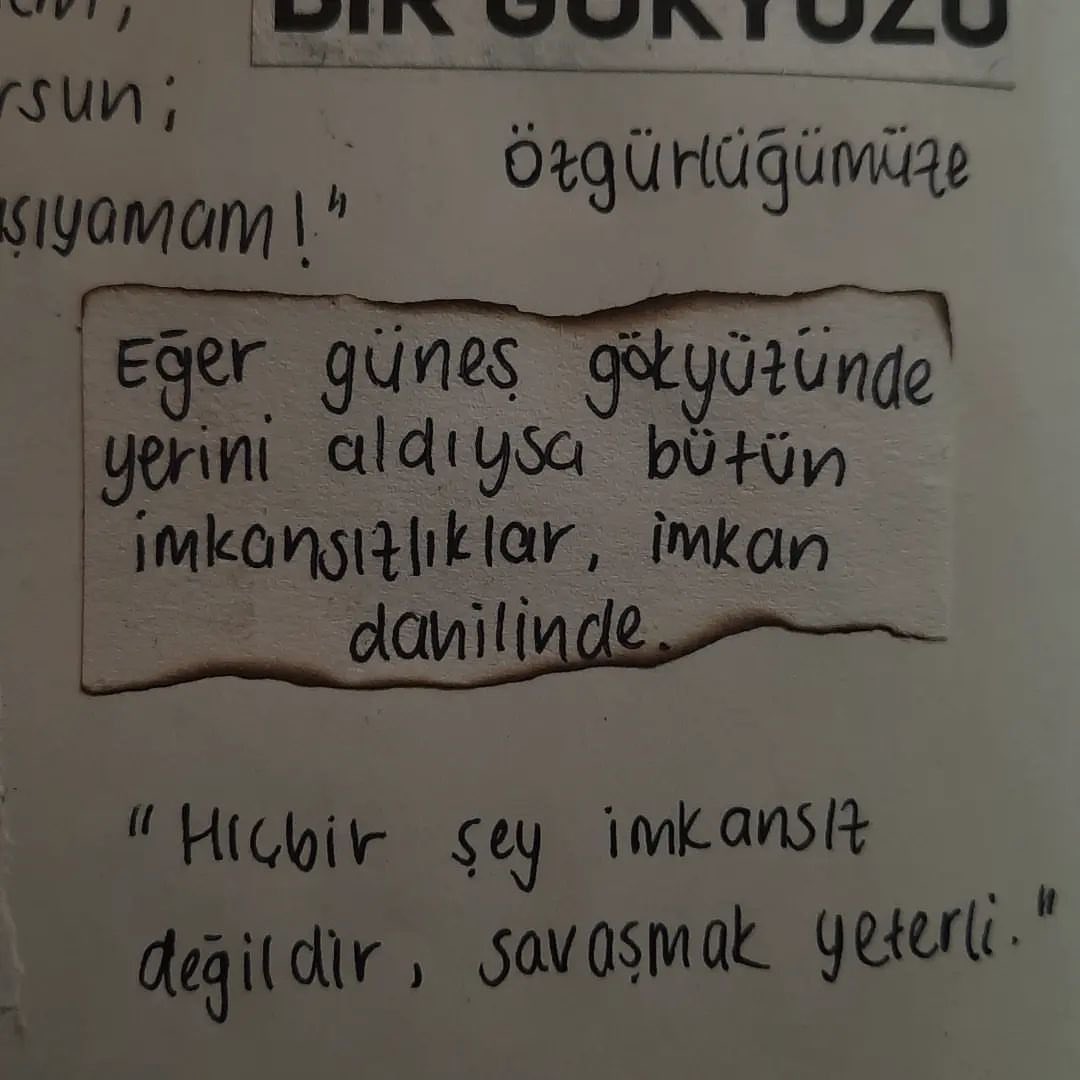 incelikli hayta tweet media