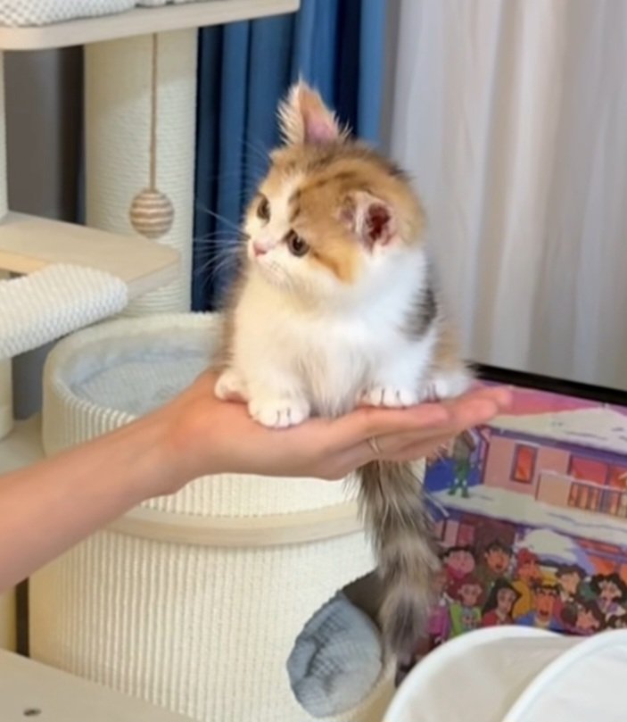 gratis_fuchs's tweet image. ☁️🥰🪶