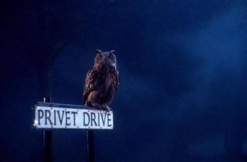 TheDailyHPotter's tweet photo. Good luck, Harry Potter ⚡️ https://t.co/76LOebKLHA