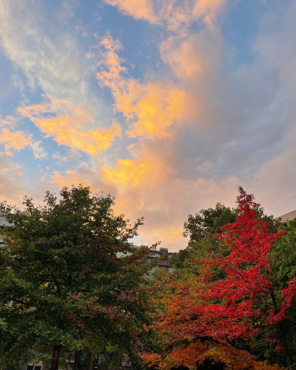 The air is crisp and the leaves are falling 🍂 Students, faculty and staff: Submit your best fall photos from around campus to the 2025 Fall at CWRU photo contest by midnight Thursday, Oct. 30. 📸 brnw.ch/21wX0Dg
