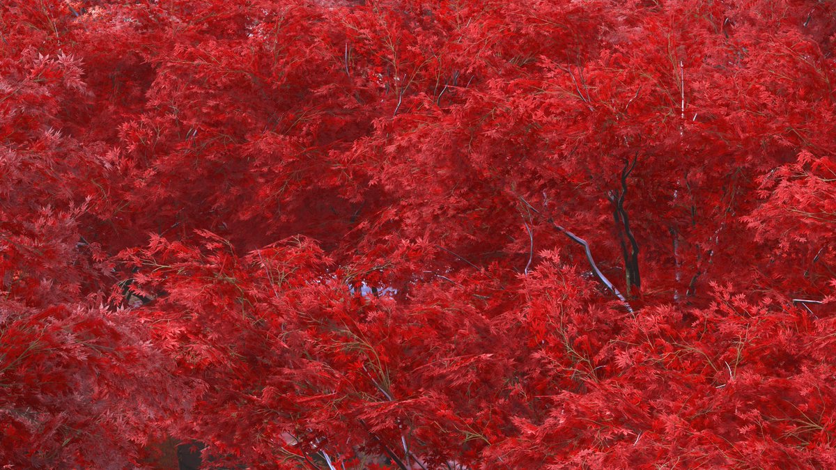 by <a href="/m1rko_vp/">Mirko_vp</a>