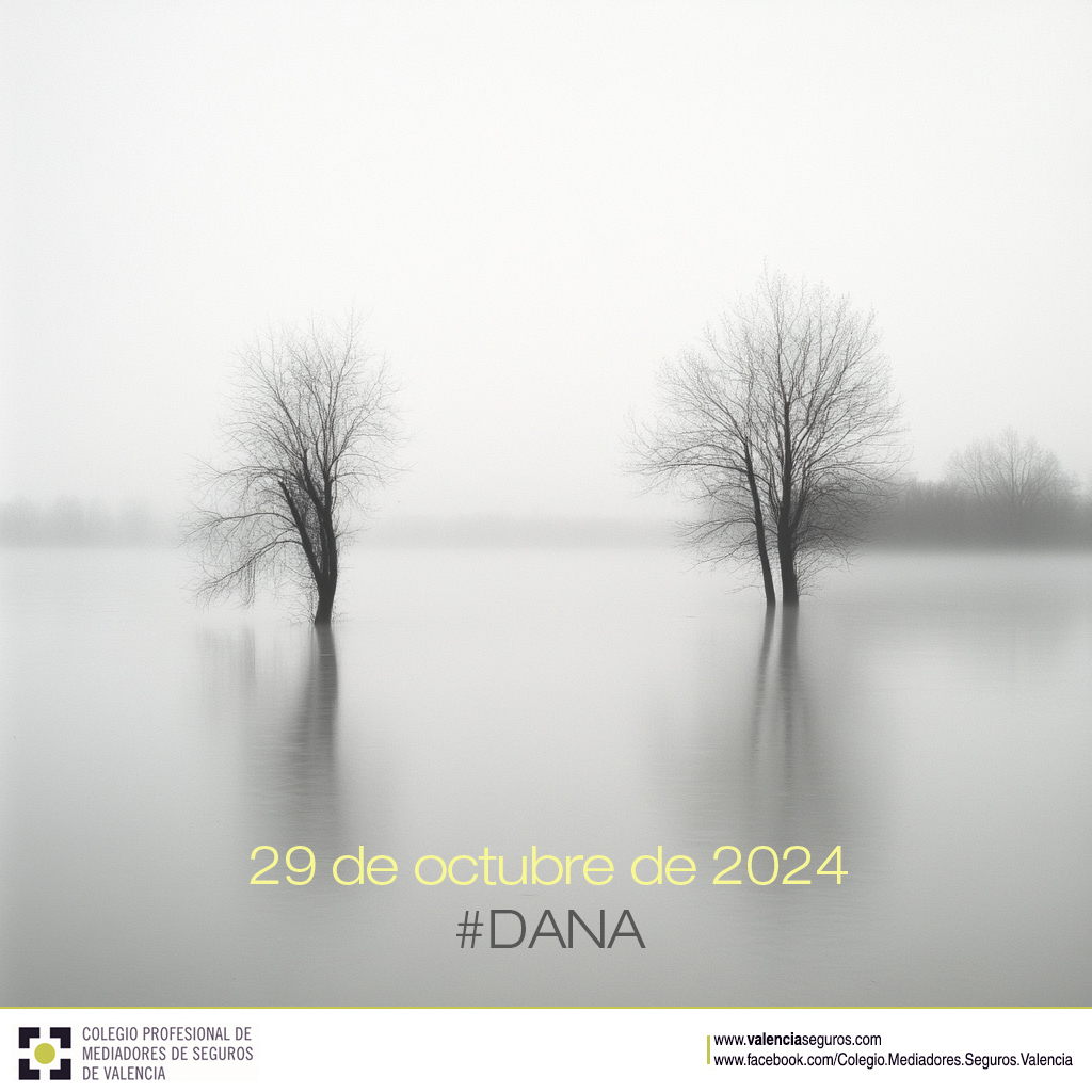 Un año de la DANA 2024 

Los mediadores de seguros valencianos: más que gestores, fueron el apoyo humano en el caos. En el terreno, casa por casa, siendo guía y consuelo para miles de afectados.

Hoy: memoria, resiliencia y compromiso con un futuro más seguro 💚
#DANA2024