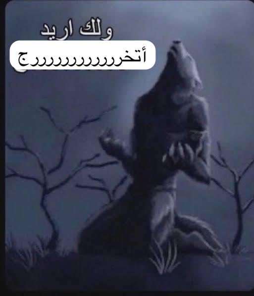 رَوان شوهدي (@rawan_se4) on Twitter photo 