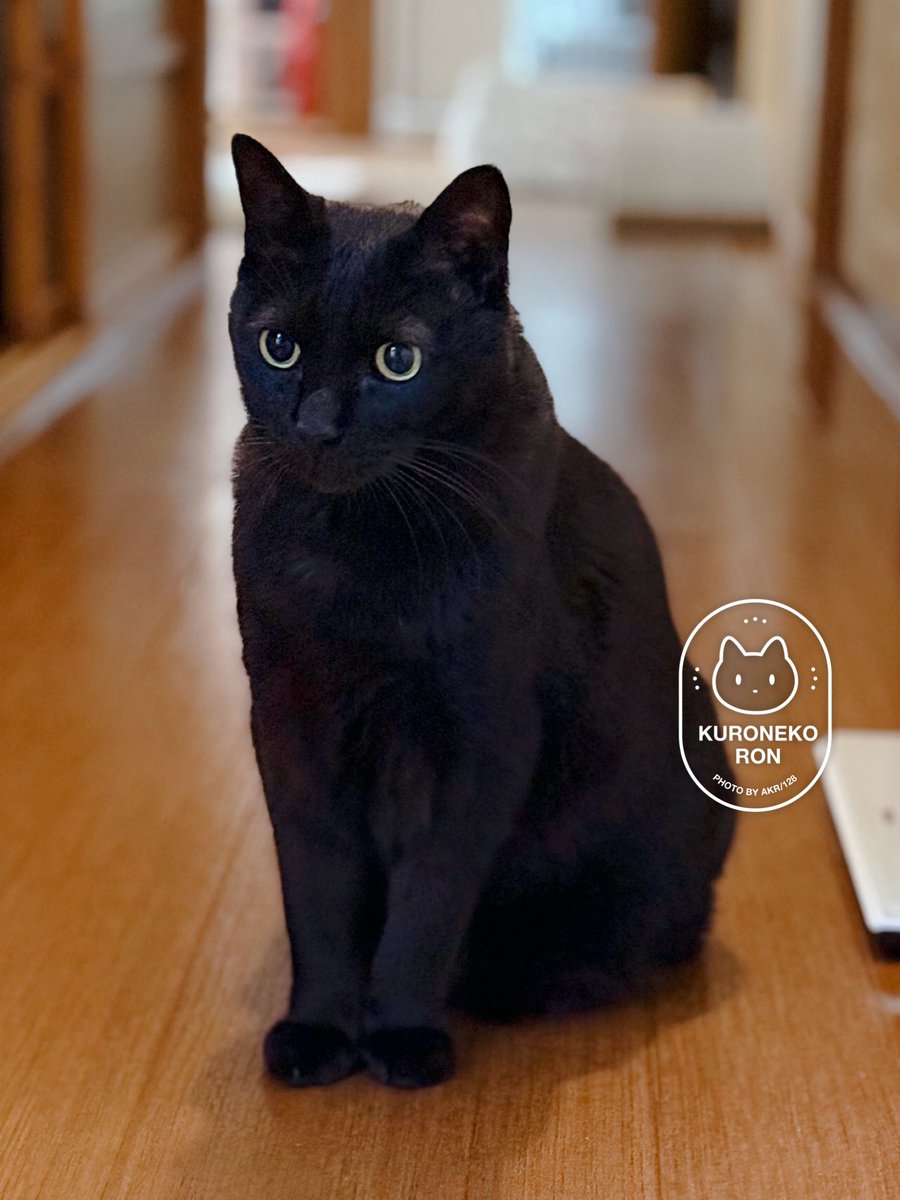 AKR｜7巻でたよ (@bou128) / Posts / X