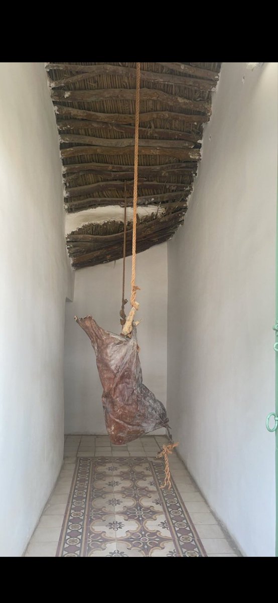 جميل جداً ان يستخدم #الشعراء بالاونه الاخيره الكثير من المفردات القديمة والتشبيهات واستخدامها كـ صور واحيائها ودمجها بصياغة حديثة واستوقفني مفرده الـ " الشنّة " 
 تكررت كثيراً قد لايعرف ماهي البعض ( مرفق صوره)

قد قيل في رثاء الحال لشعراء من العصر القديم  :

من أولٍ قبلة الحي لا