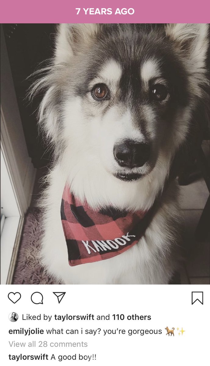 emswift13's tweet image. happy seven years since i bribed taylor into liking and commenting on this insta post of my dog 💕