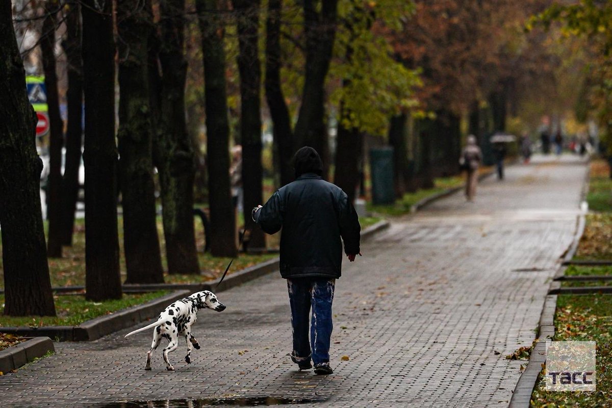 🍂 Automne à Moscou

📸 Alexandre Shcherbak/TASS