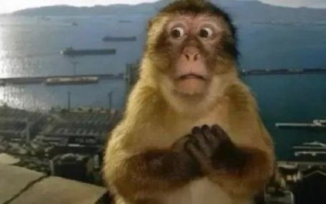 Arkadasimin attigi hicbi reelsi izlemeden storysini izleyince olusan panik