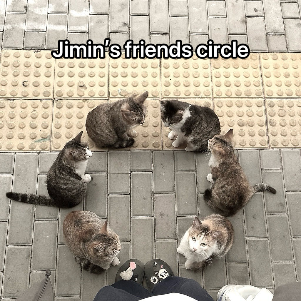 ٰ (@jmpoper) on Twitter photo 