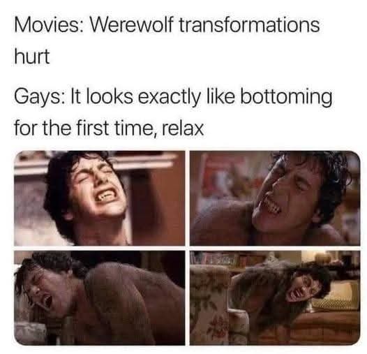 Bear on a Bicycle (@otterguy9) on Twitter photo 