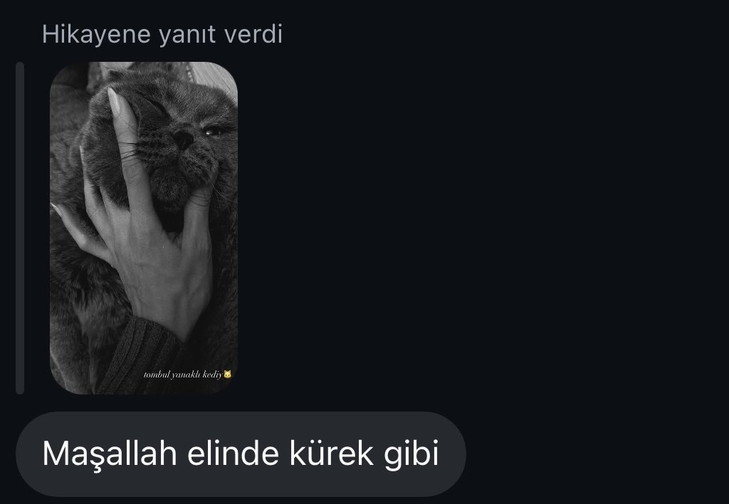 ahsdhahahahsshshshsshshd