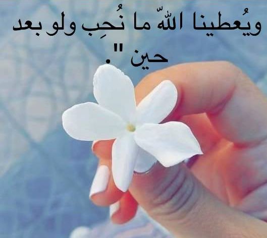 للمحبيّن وأيضاً للكارهين

                     وإما بّعد 
  نصيحه للأيام الحالية والأيام المقبله 
تغاضى قد ما تقدر ما دام إن العمر محدود 
ولا تحزن على الفايت رحاب الأرض ممدوده.