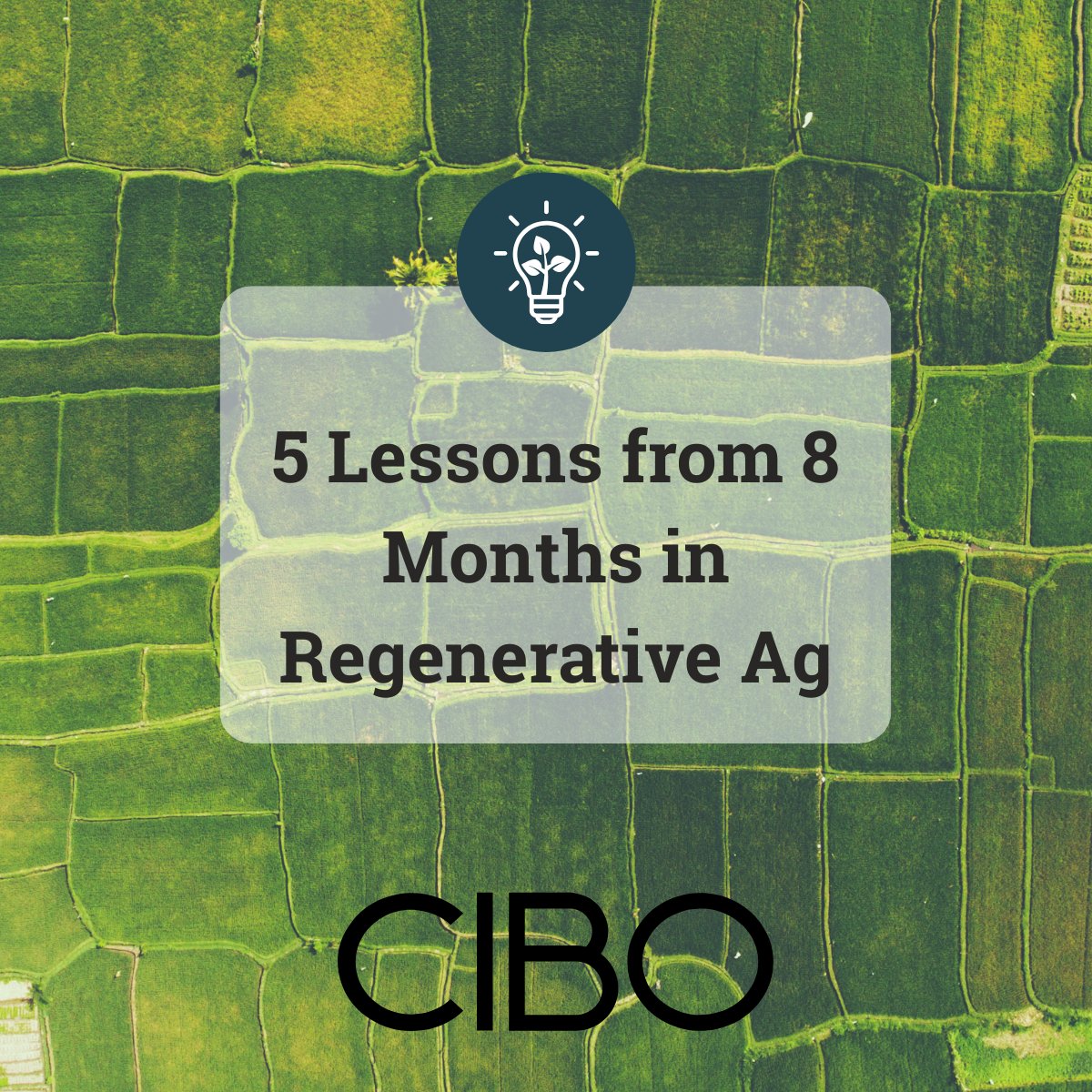 5 Lessons from 8 Months in Regenerative Agriculture 🌱 Inspired by <a href="/UpstreamAg/">Upstream Ag</a> 's guide on career growth in ag.