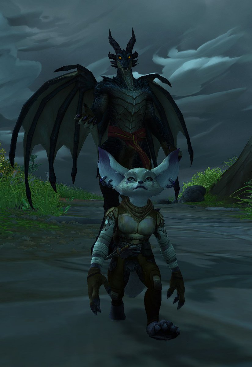 the coolest person ever

and her dracthyr friend