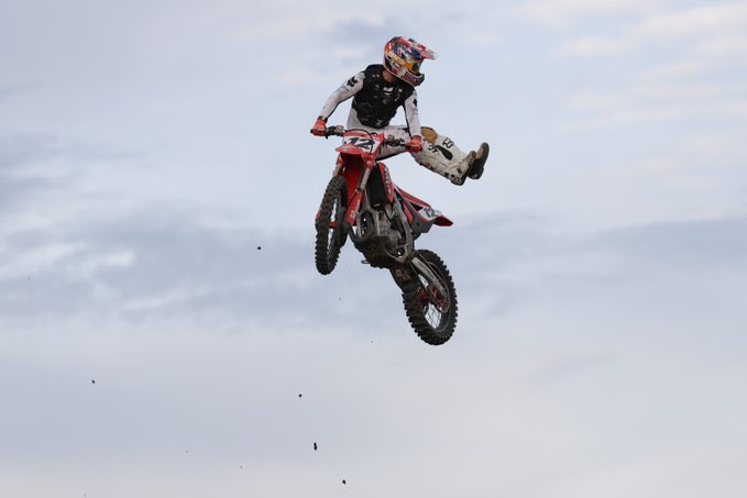 ダモ氏 毒マムシ。 on X