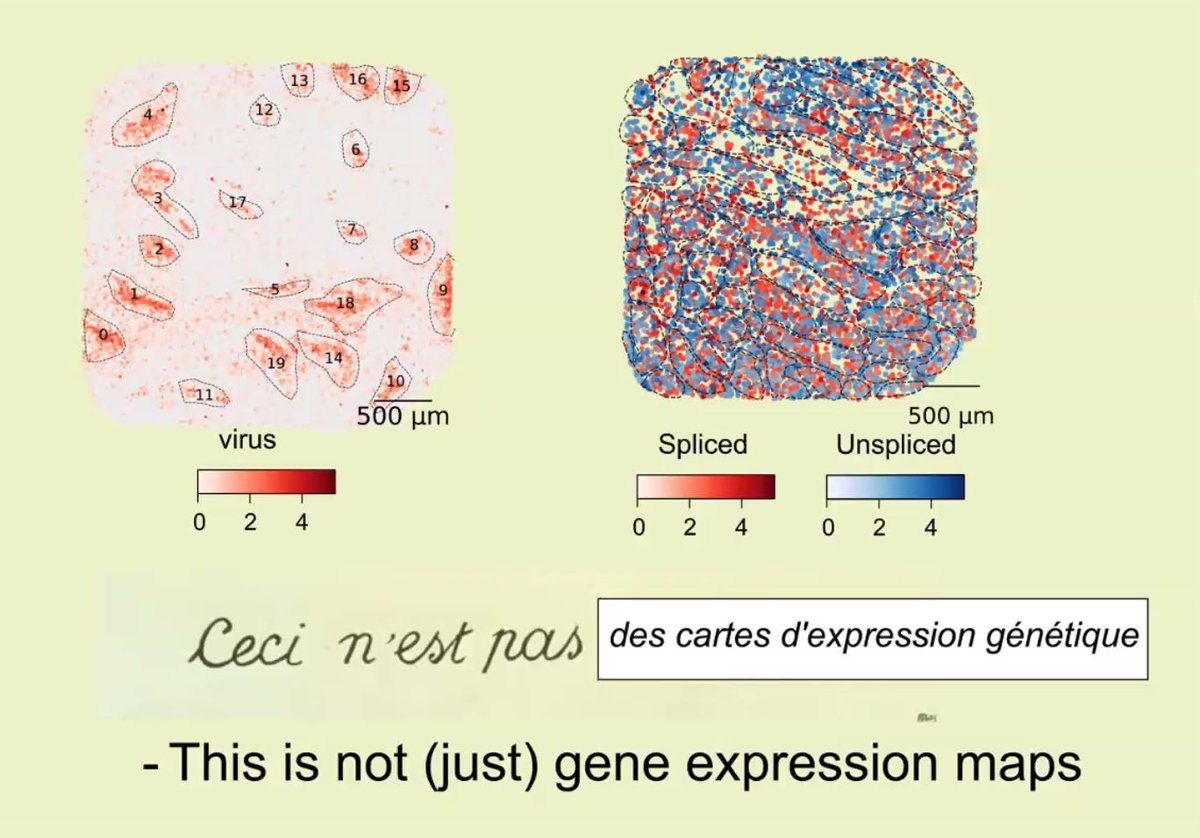 David McKellar tweet media