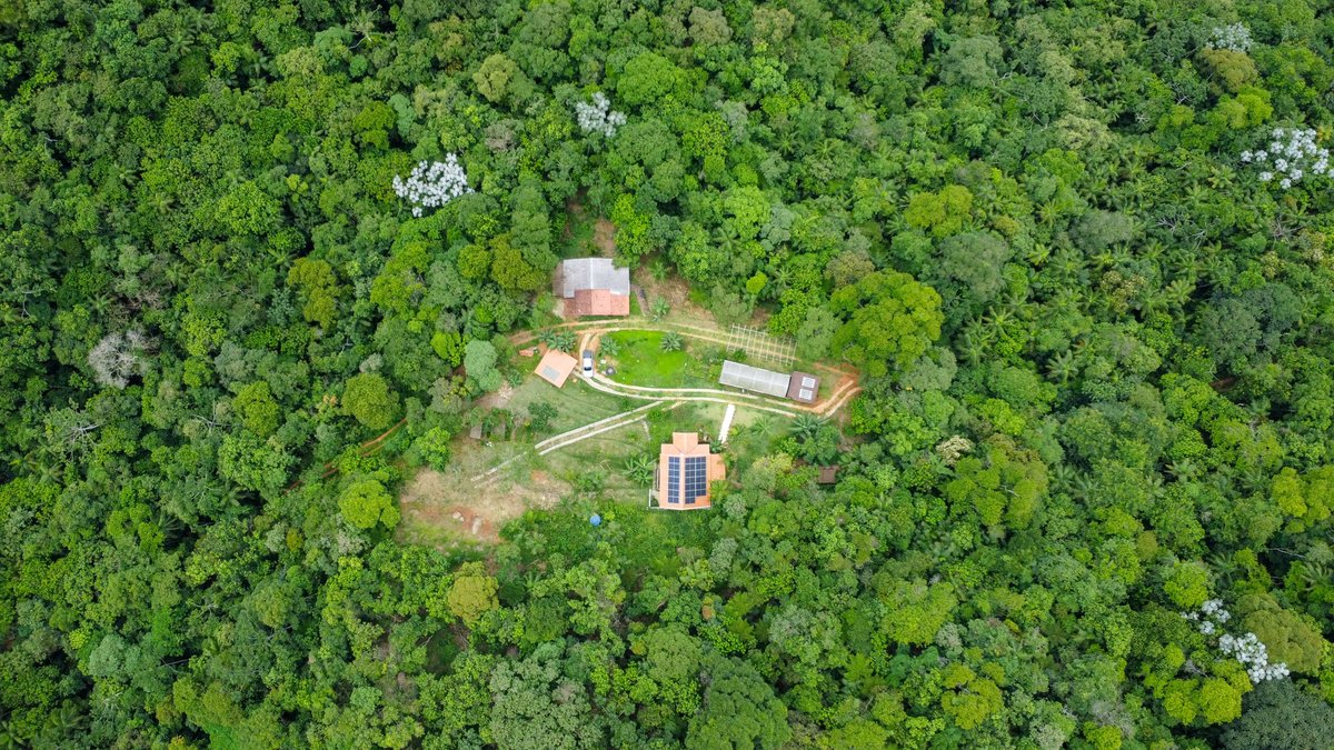 goddeketal's tweet image. I don’t drink at home.
I don’t smoke.
I work out five times a week.
I sleep nine hours a night.
I drink raw milk every day.
I never changed my sex.
I primarily eat meat and eggs.
I don’t have tattoos.
I am unvaccinated.
I don’t have STDs.
I live in the middle of the jungle.
I…