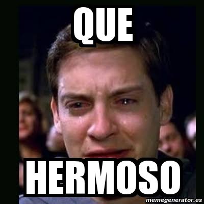 Gustavo Castillo tweet media