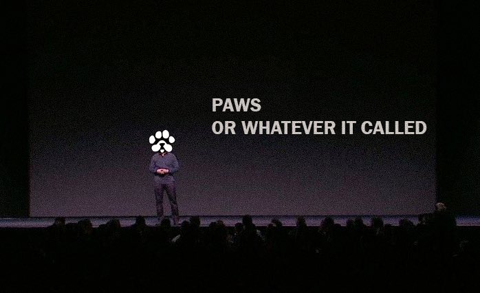 PAWS Labs (@gotpawsed) on Twitter photo 