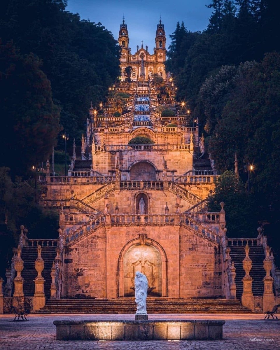 Miscelánea🍀 tweet media