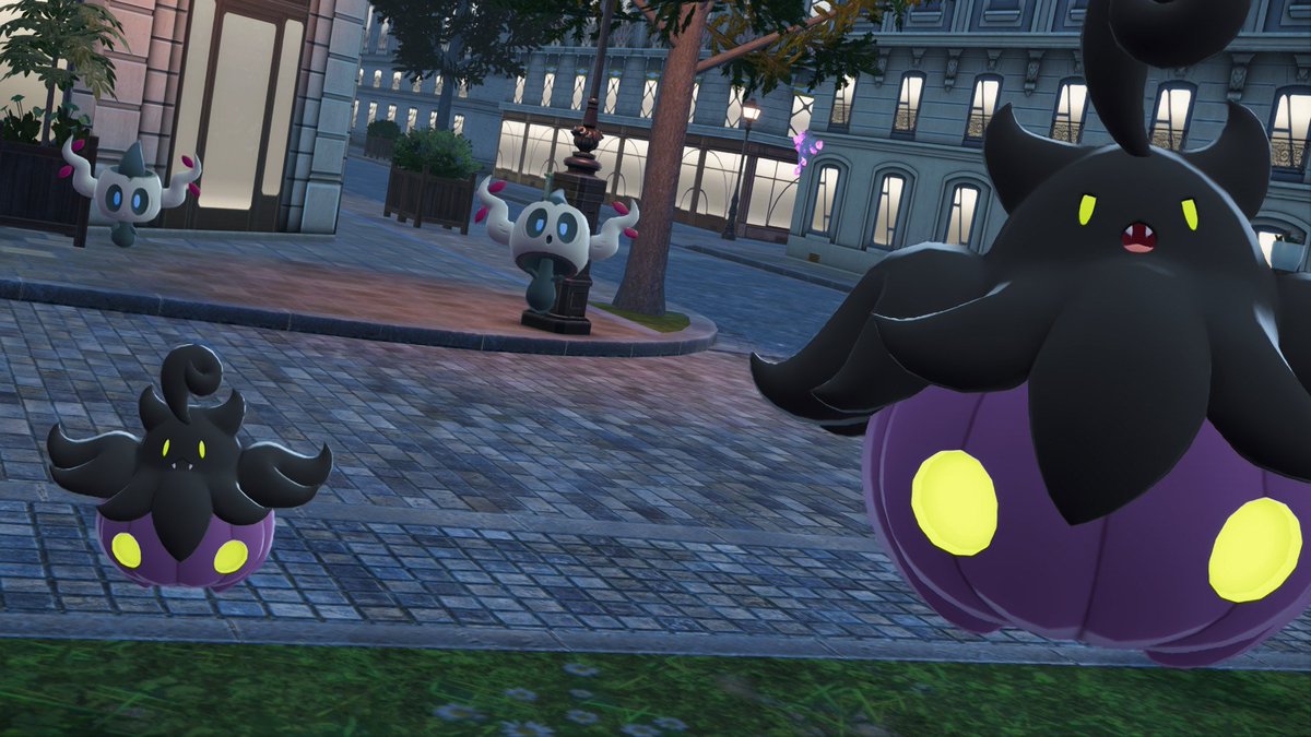 waiting for halloween with the cutest shiny ghost pokemon