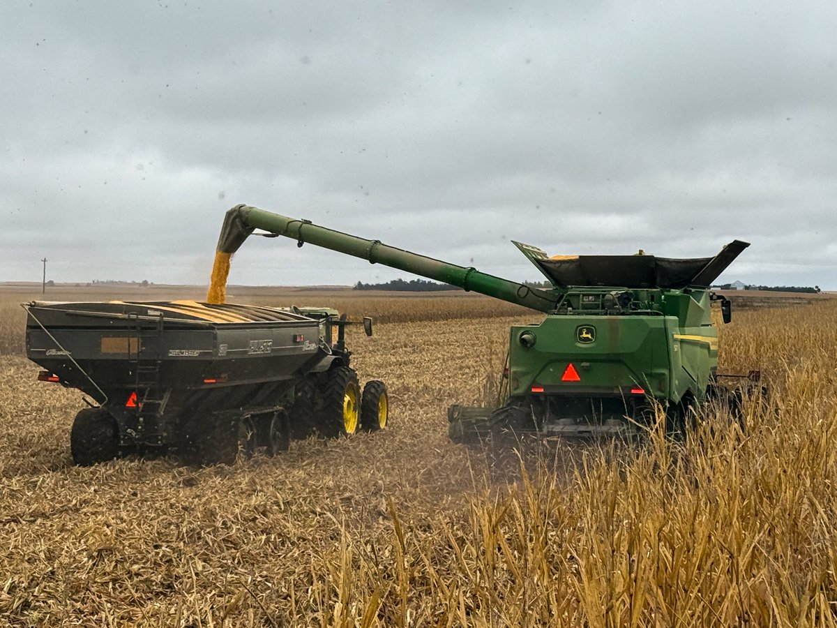 elmersmfg's tweet image. The HaulMaster keeps rolling through corn #Harvest25!

Big thanks to Schaffer Farms in Culbertson, NE, for putting our 1300-bushel cart to work.

Didn’t get a chance to demo this year? Secure your 2026 HaulMaster demo: elmersmfg.com/farming-equipm…
