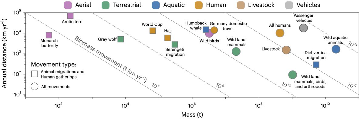Milo Lab @WIS tweet media