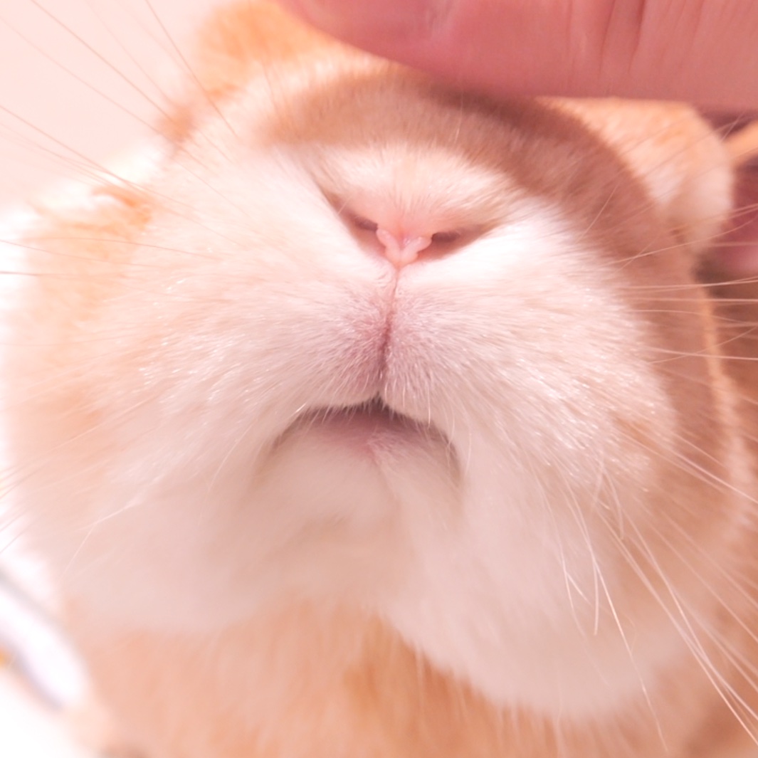 うさぎ✨ I let him experience the atmosphere of the sea, and when his