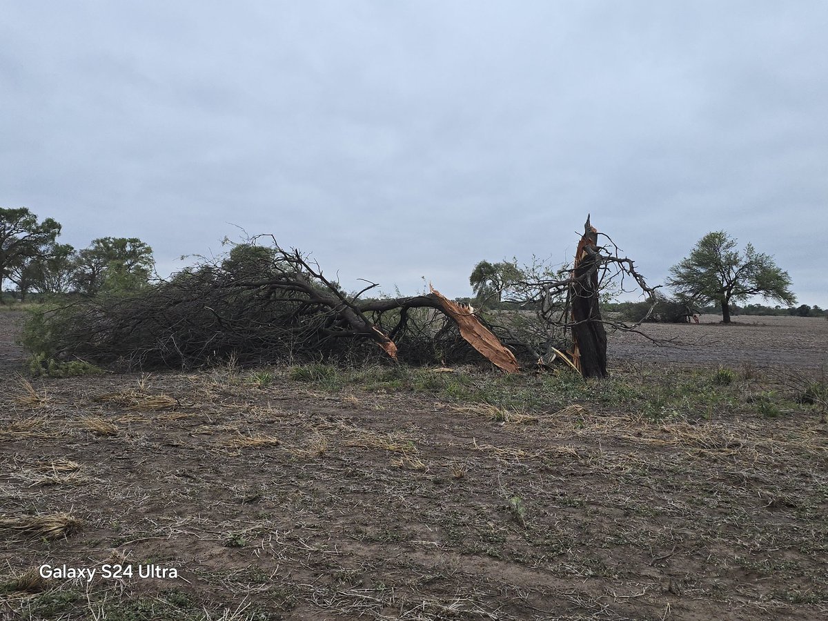 Fuertes vientos huracanados en María Teresa, Quimilí, una pena. Tormenta y lluvia regular no más  que mucho se hizo esperar