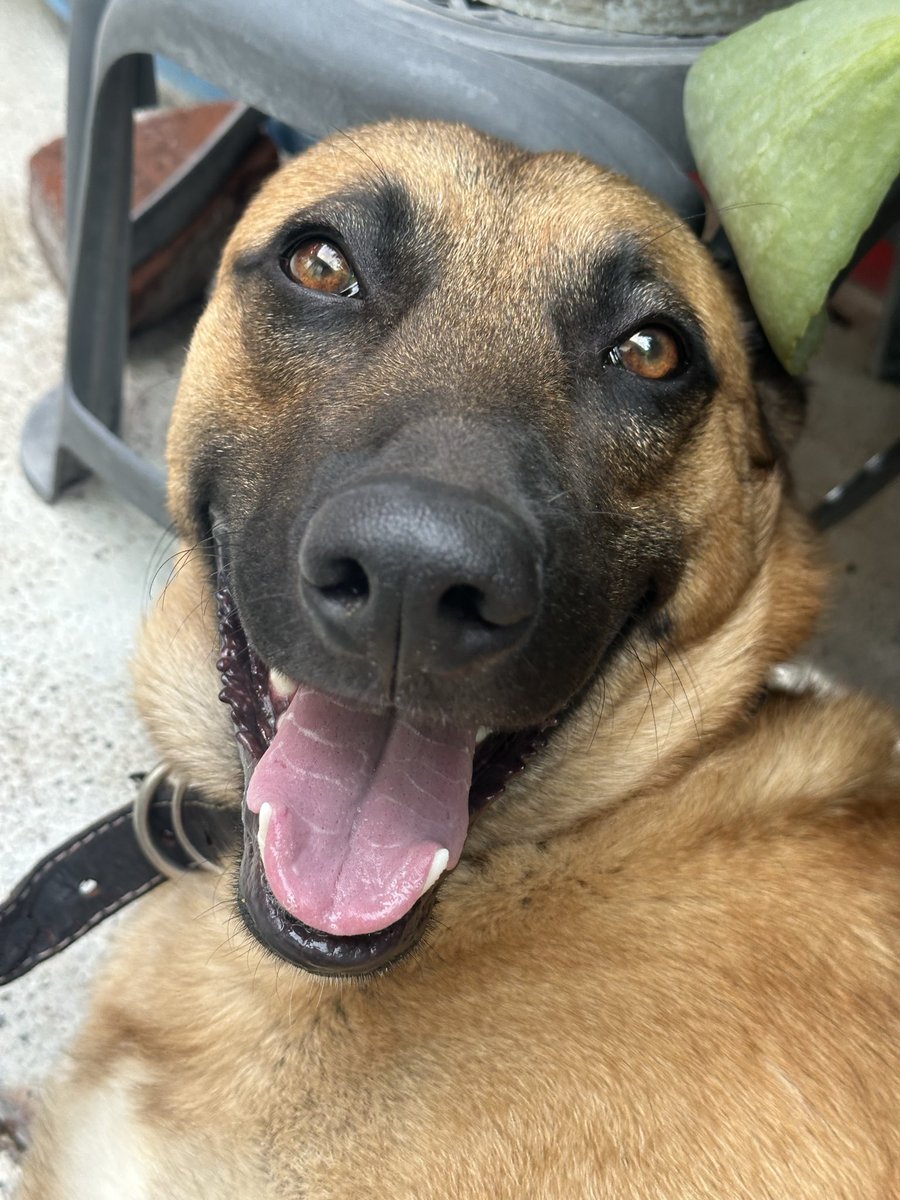 la razón de que siempre ande golpeada 
hoy me abrió mi labio jaja