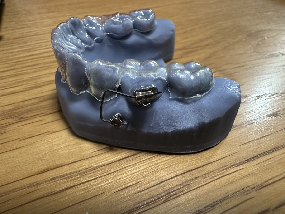 ⚠裁断済み　補綴と矯正 ⚠裁断済み 補綴と矯正 ⚠裁断済み 補綴と矯正 【公式通販】