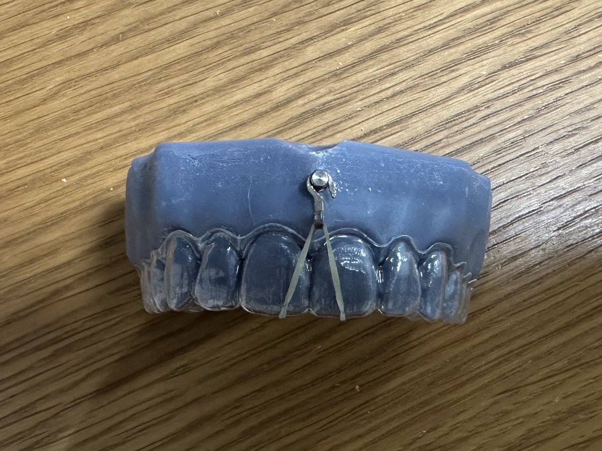 ⚠裁断済み　補綴と矯正 ⚠裁断済み 補綴と矯正 ⚠裁断済み 補綴と矯正 【公式通販】