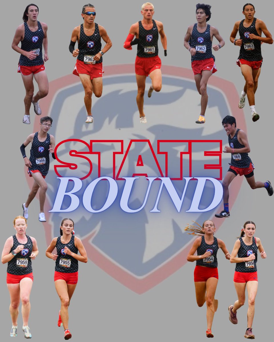 Moorexctf's tweet image. 11.1.25… 🦁