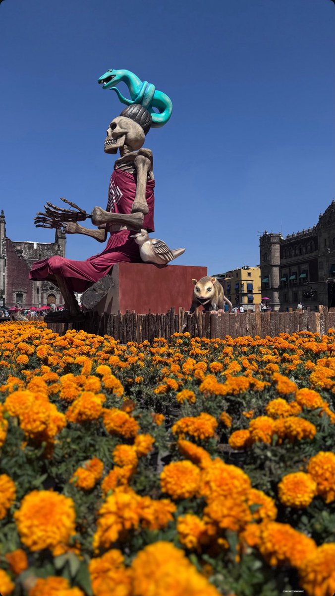 ¡ Chequen la Impresionante la ofrenda en el centro histórico !