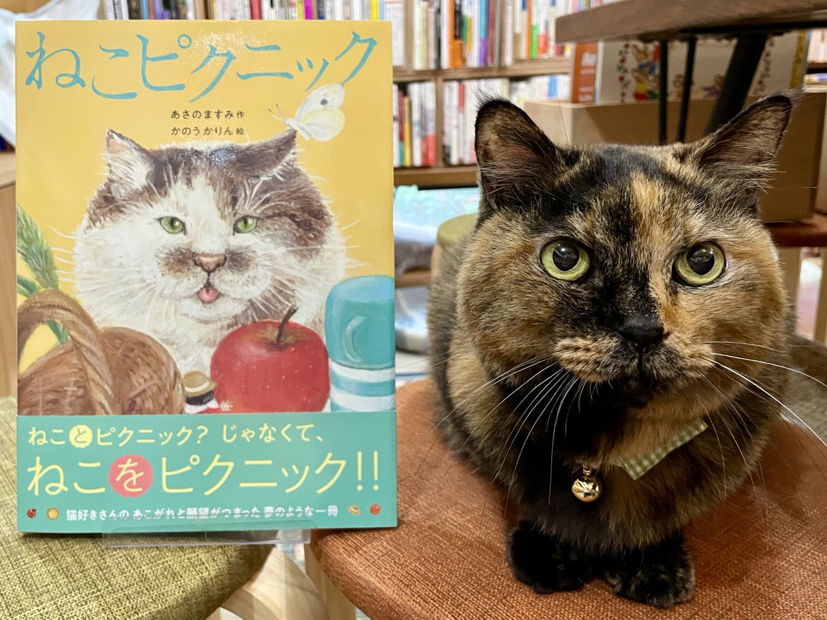ねこピクニック』は、猫吸い中にトリップしたような、ねこ「を 