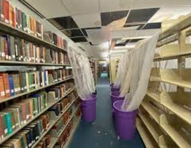 Morgan Lamandre tweet media