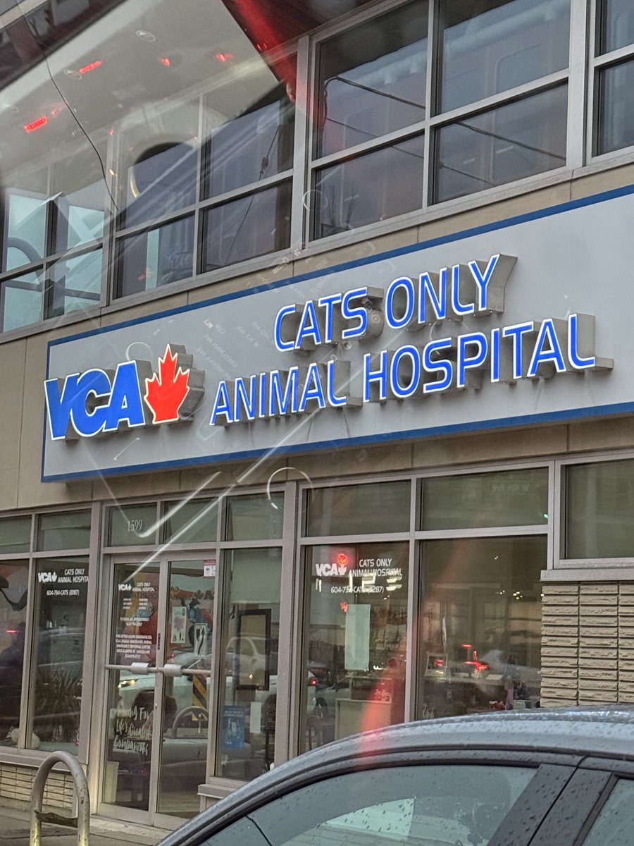 moseleywilliams's tweet image. Narrow and deep. Want to make more money? Specialize. It’s also easier to manage a business that only solves problems for one kind of client. In this case, cats, which completely suck by the way. #businesstips #dogs