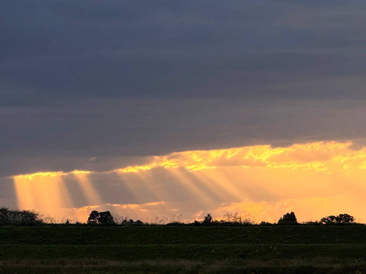 akiraaaaaart's tweet image. おはようございます🌞
光のシャワー✨
昨日の夕方、撮影🌆
#iPhone16Pro