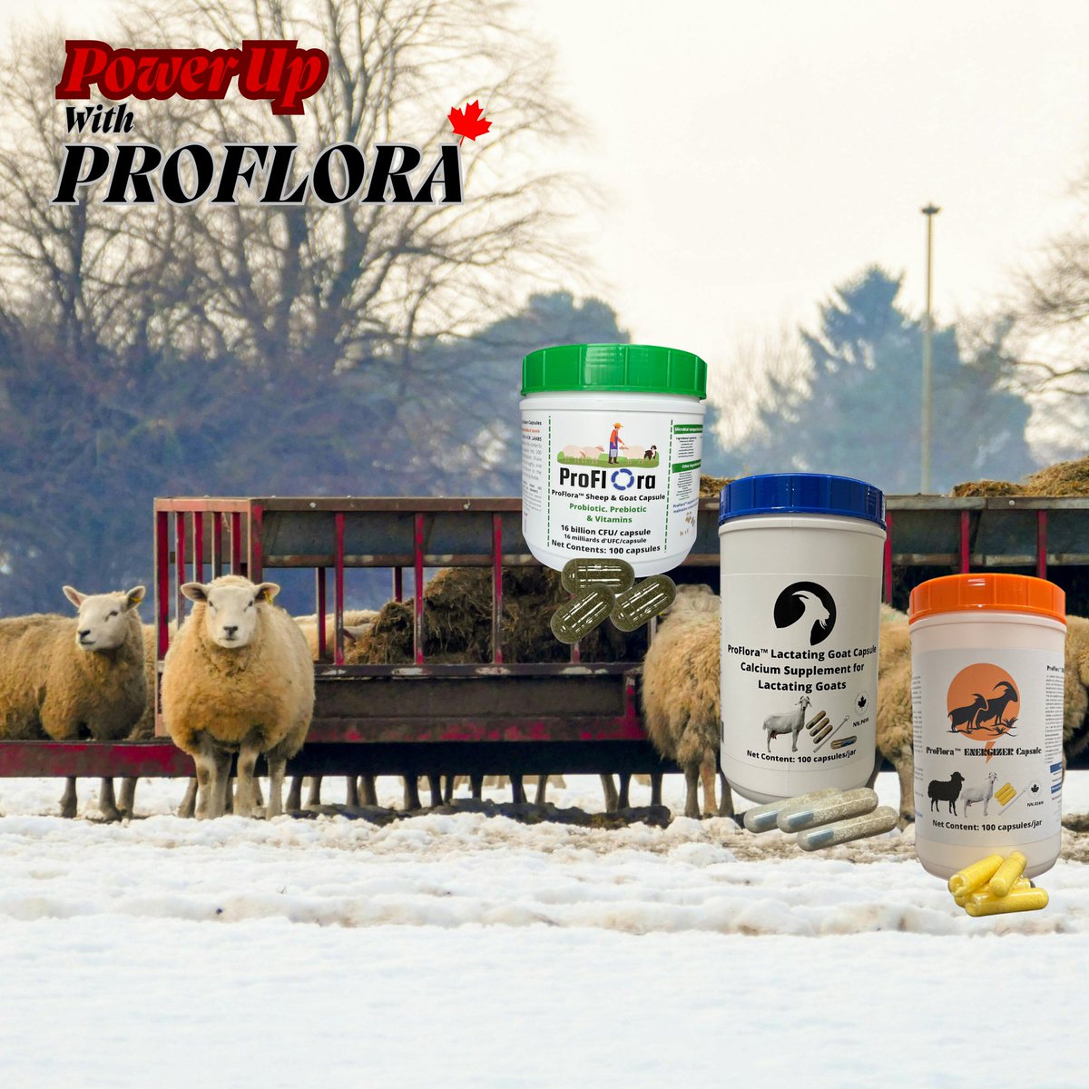 ProFlora_Cap tweet picture