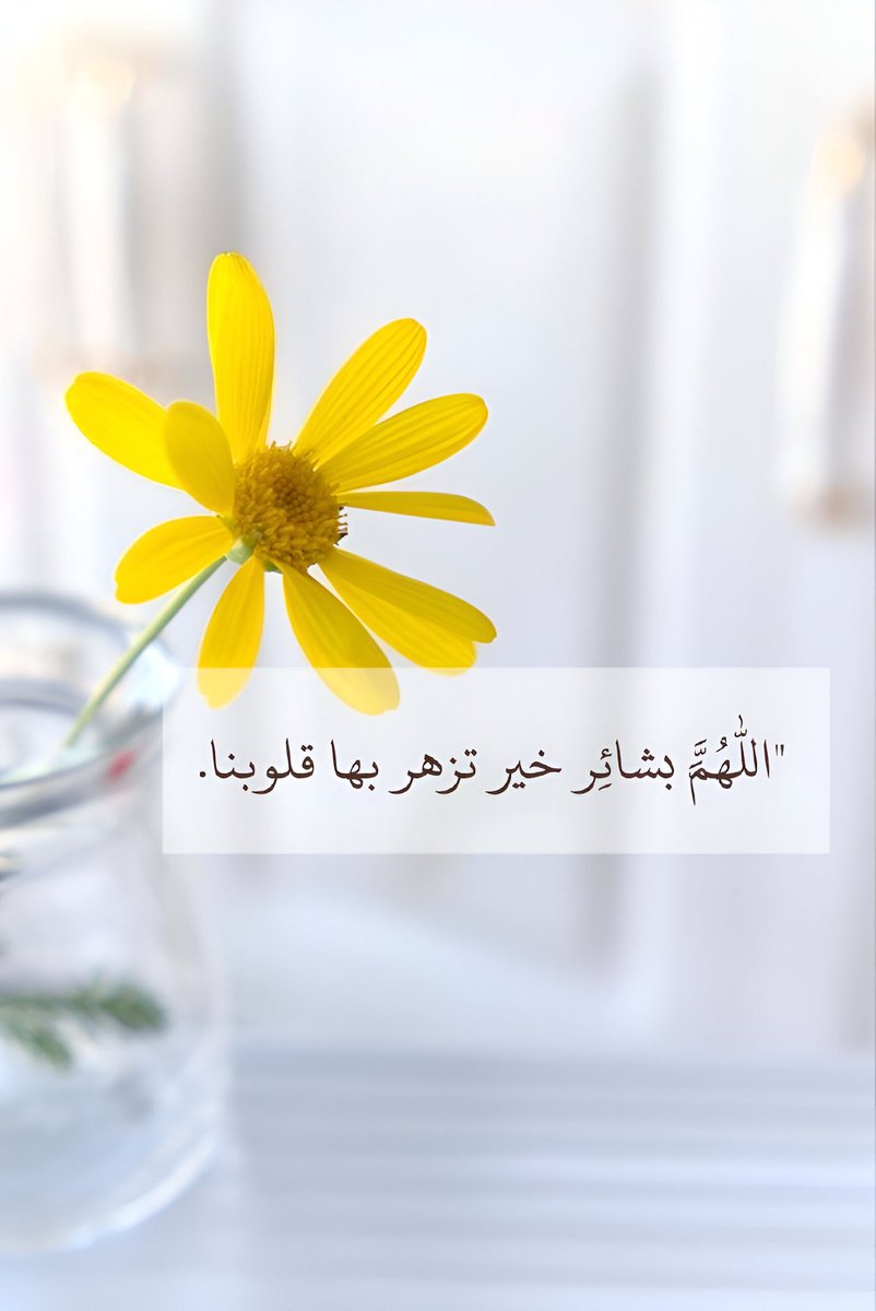 دعاء (@qalcc) on Twitter photo 