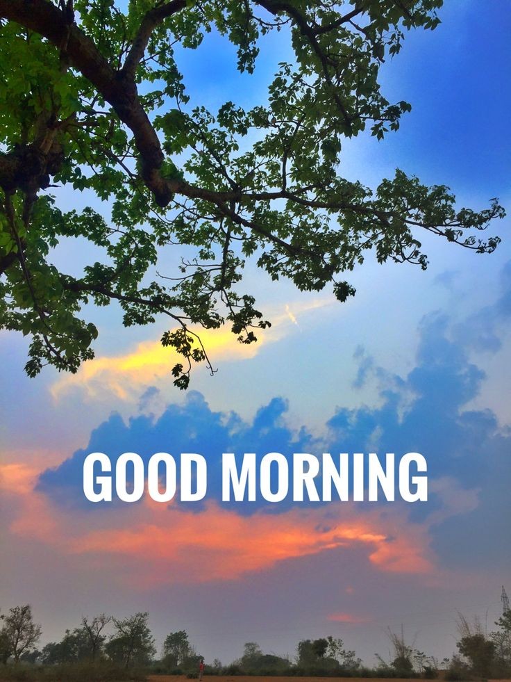 Baijnath Sen tweet media