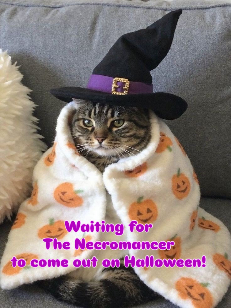 Are you looking for a #YA fantasy #Book? Look no further!