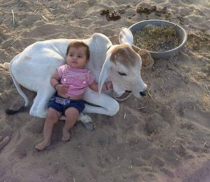 *चुका दाखवणाऱ्यांना* *शंकेच्या नजरेतून बघू* *नका कारण कधीकधी* *त्यांच्या भावना* *आपल्याला सहकार्य* *करण्याच्या सुद्धा असू* *शकतात.* 
  🌹🌹 *शुभ सकाळ* 🌹🌹