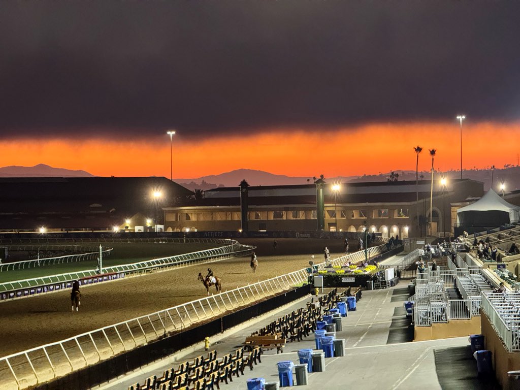 Tom Ryan tweet media