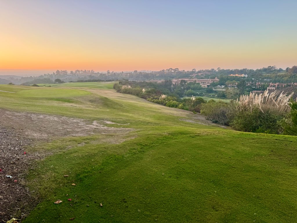 Tom Ryan tweet media